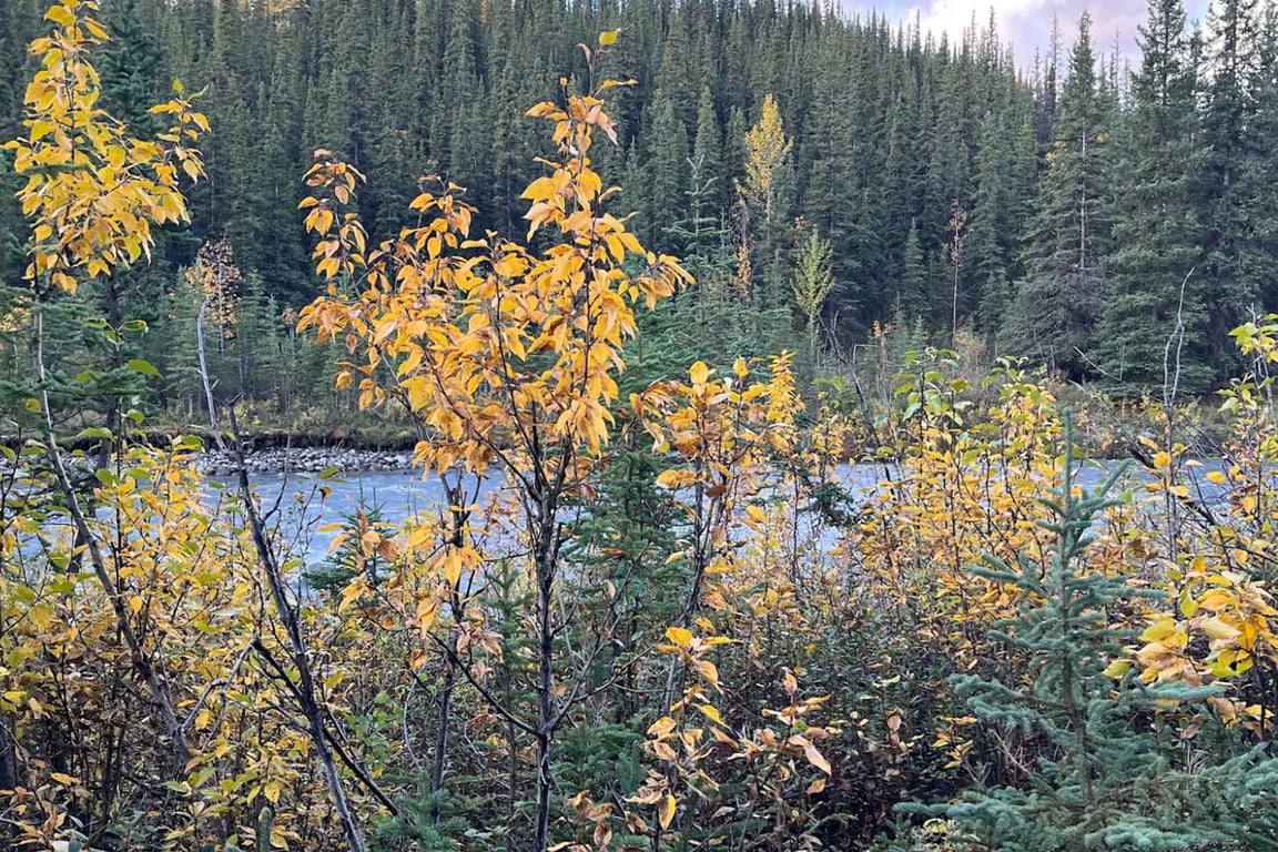 Into The Mountains Hiking Tour image