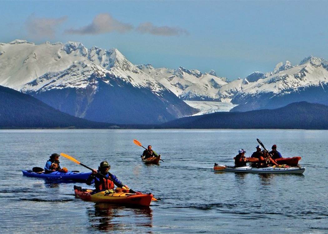 Paddle with Whales Kayak Adventure Tour Image 4