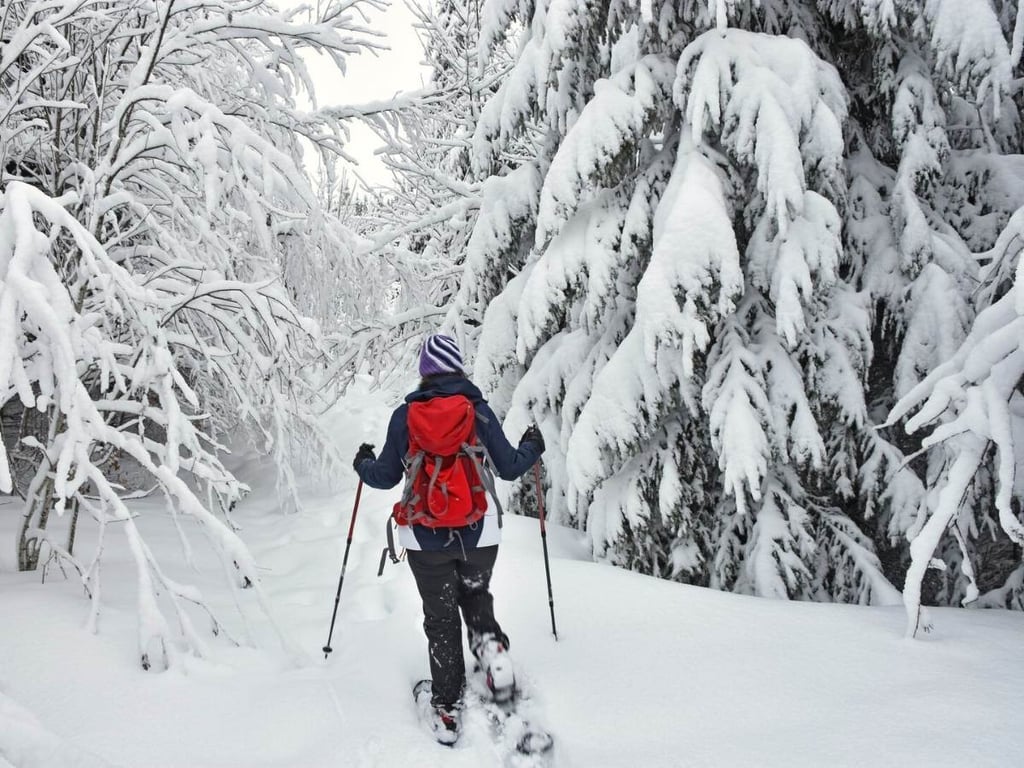 Snowshoe In Glacier National Park Tour Image 8