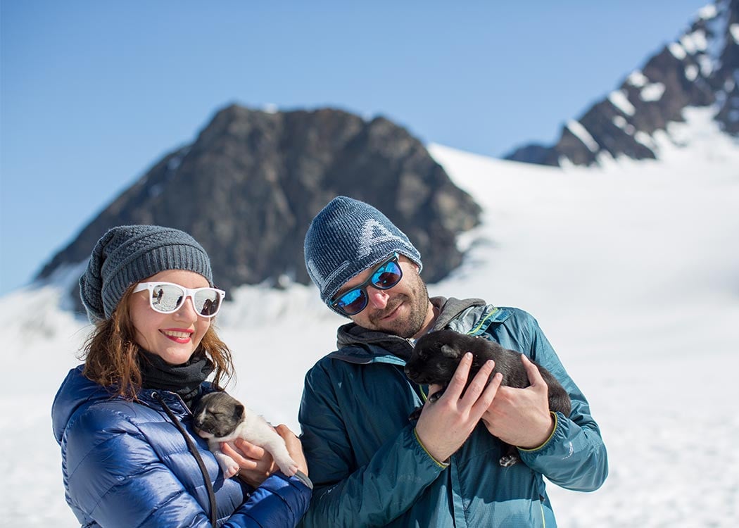 Anchorage Helicopter and Glacier Dogsled Tour With Transportation Tour Image 7