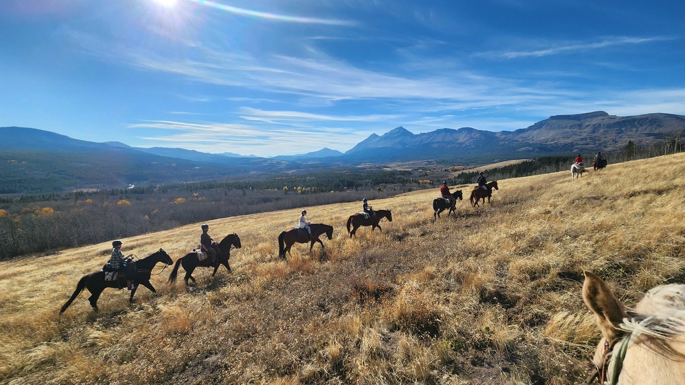Horseback Trail Ride - Half-Day Tour Image 9