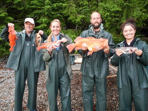 Fishing category image