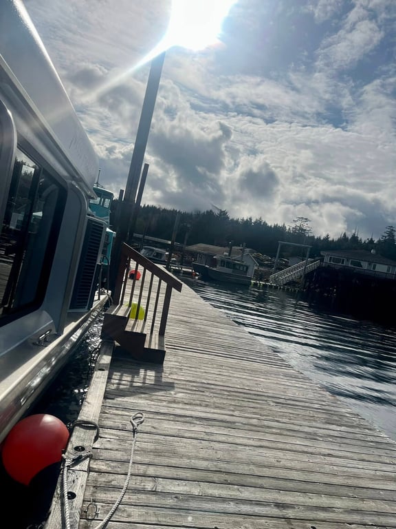 Tales & Tides: Alaskan Lore & Wildlife Cruise Tour Image 8