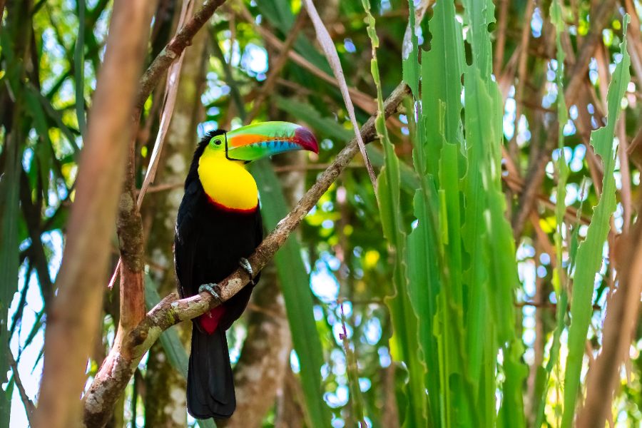 Our Favorite Things to Do & See in Punta Gorda