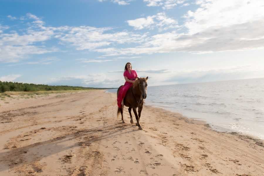 A woman rides a horse along a peaceful sandy beach, enjoying the gentle ocean breeze.