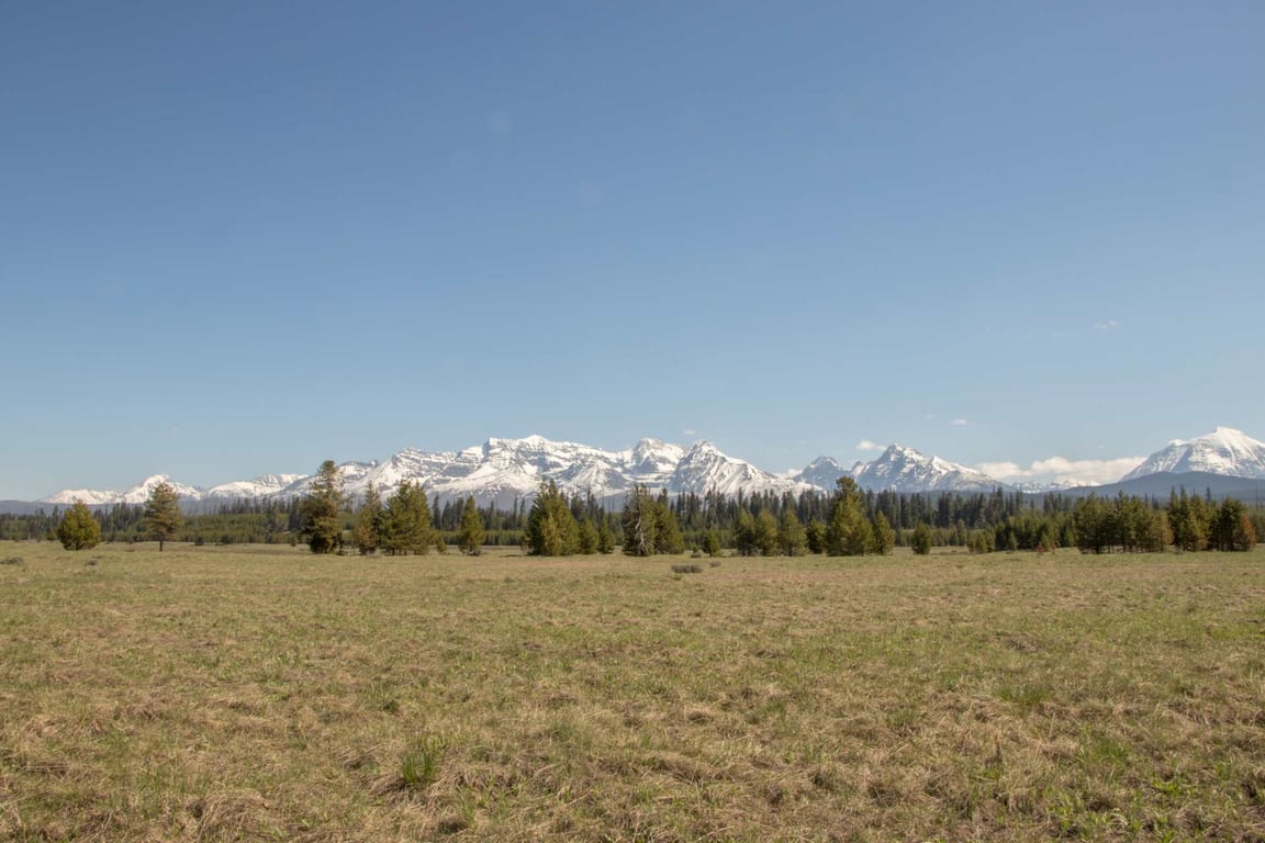 Polebridge & West Glacier Private Sightseeing Experience Tour Image 2