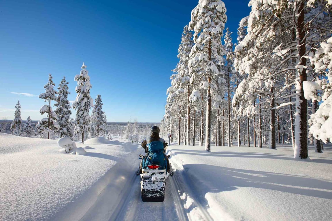 Full Day Whitefish Snowmobile Tour image