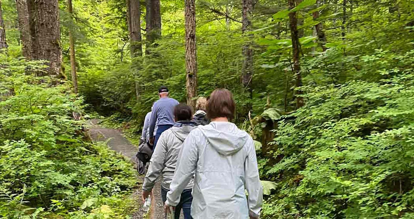 Alpine Wilderness Trail Adventure by Segway Tour Image 5