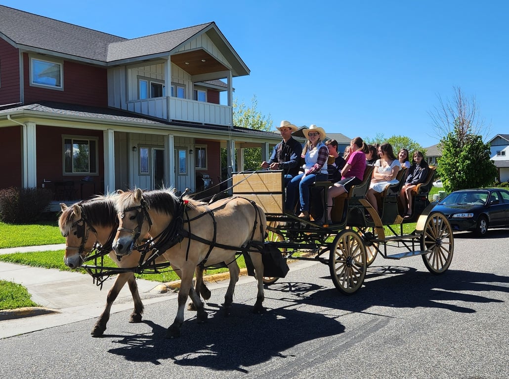 One Hour Bozeman City Carridge Tour Image 6