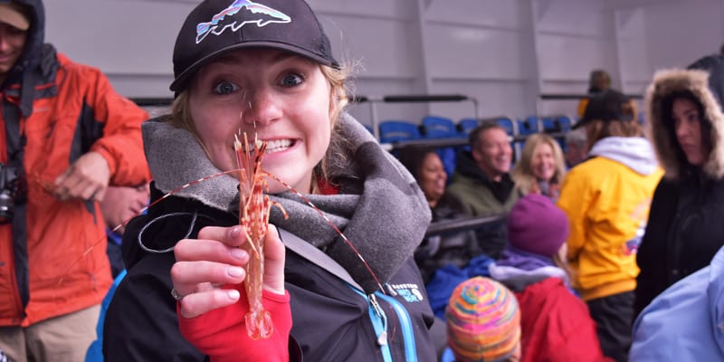 The 10 Best Alaska Shore Excursions