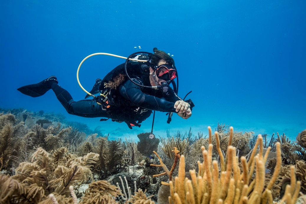 2 Tank Dive in Costa Maya (for certified divers) image