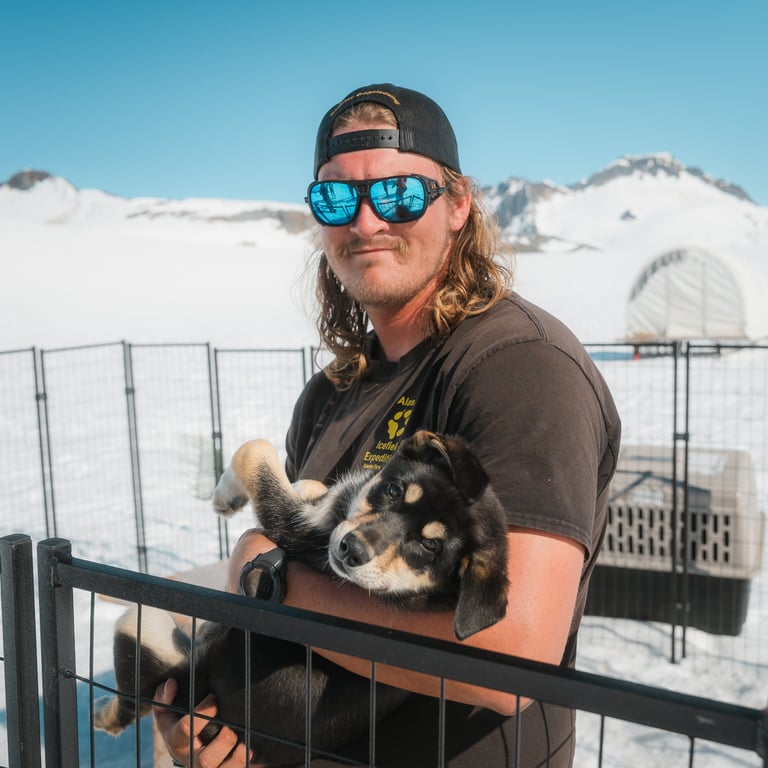 Helicopter Glacier & Dog Camp Adventure Tour Image 3