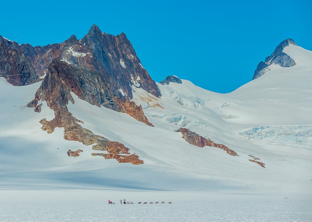 Glacier Dog Sled Adventure Tour Image 4