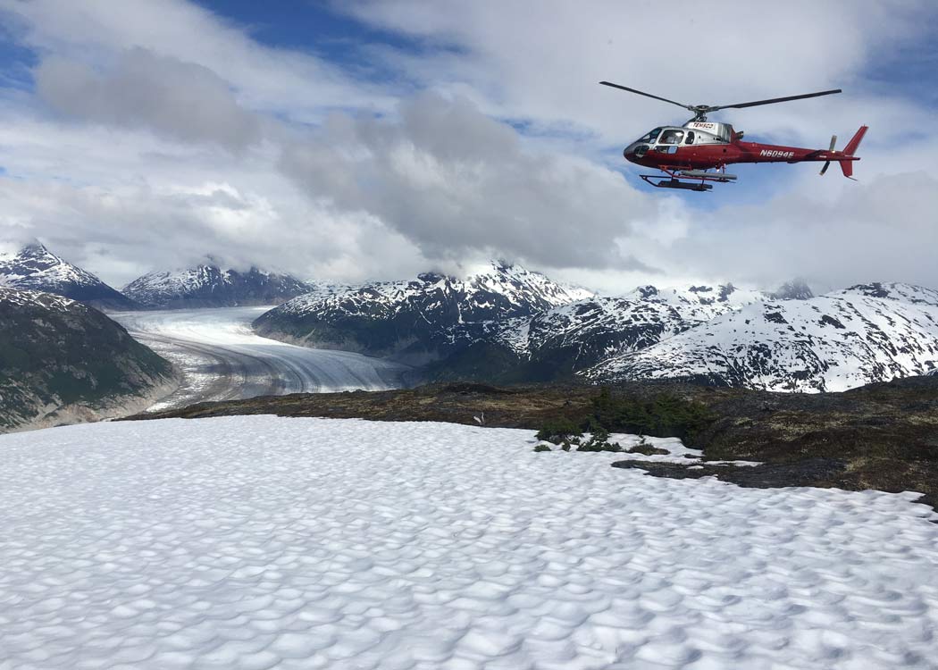 Skagway Glacier Discovery Helicopter Tour Tour Image 8