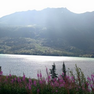 Drive into the Yukon review image 0