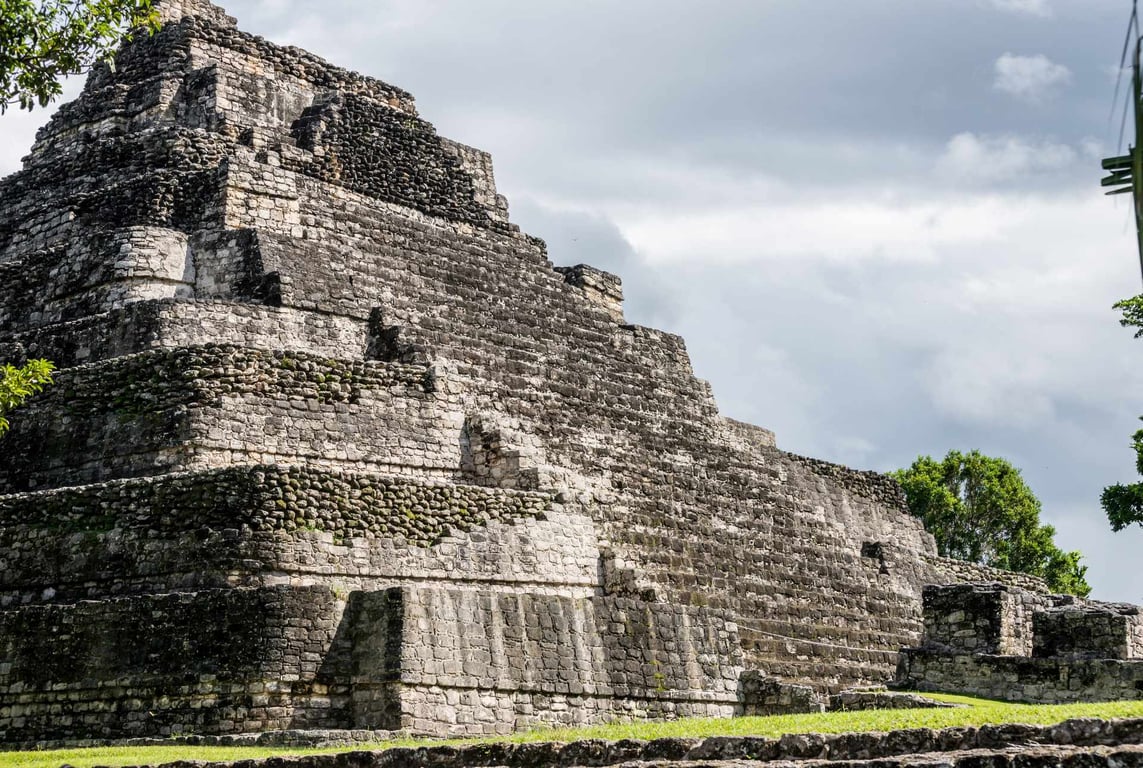 mayan structure with tree in foreground