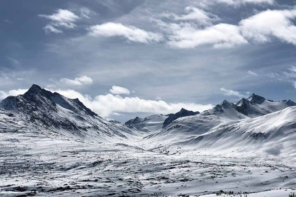 Yukon Discovery Tour Image 3