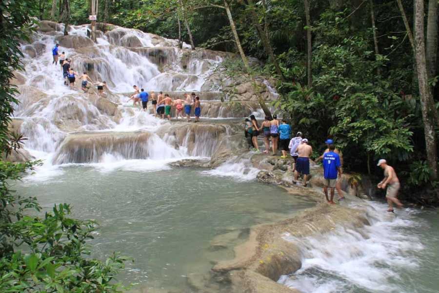 Black River, YS Falls & Appleton Estate Combo Tour Image 7