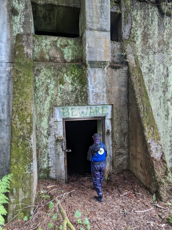 War Bunkers and Wildlife Kayak Tour image