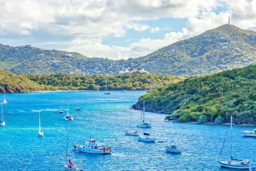 A peaceful bay filled with boats, surrounded by lush green hills and bright blue waters.