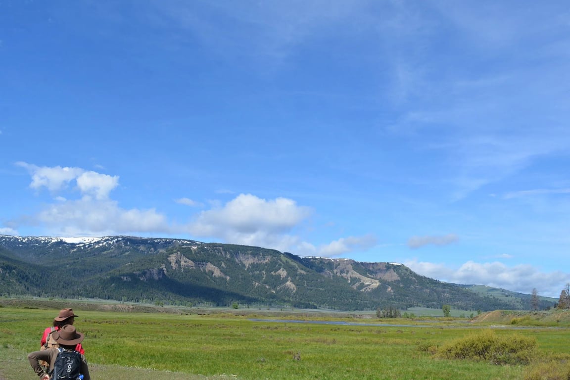 Lamar Valley Full Day Hiking Adventure Tour Image 6