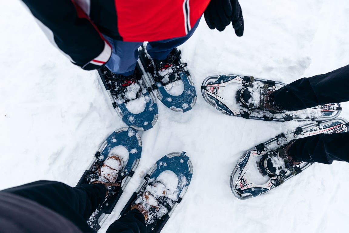 Explorer Half Day Snowshoe Tour Image 4