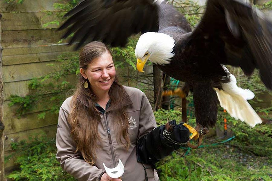 Your Personalized Alaska Shore Excursion Itinerary