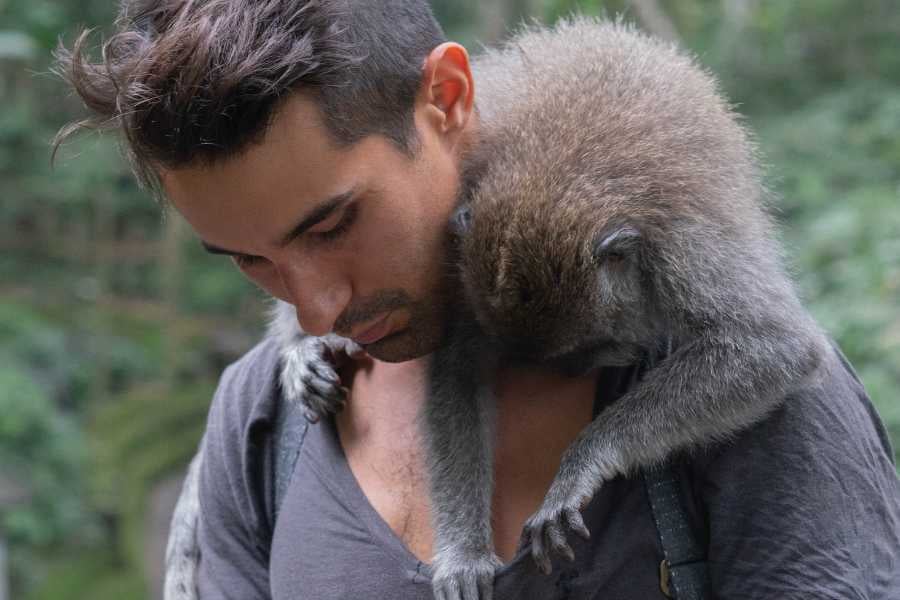 A man gently holds a monkey on his shoulder, showing a connection between humans and wildlife.