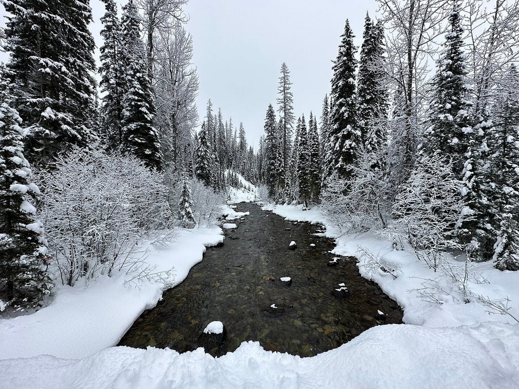 Outstanding Snowmobile Trip! review image 1