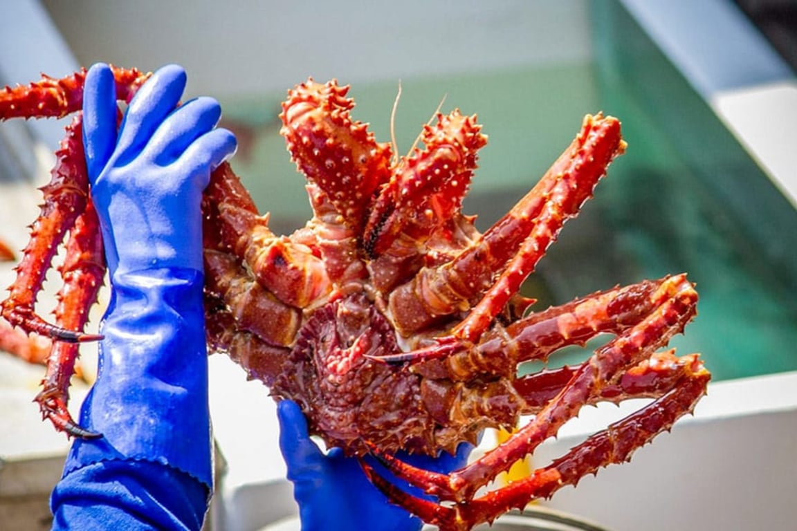 Bering Sea Crab Fishermen's Tour Tour Image 15