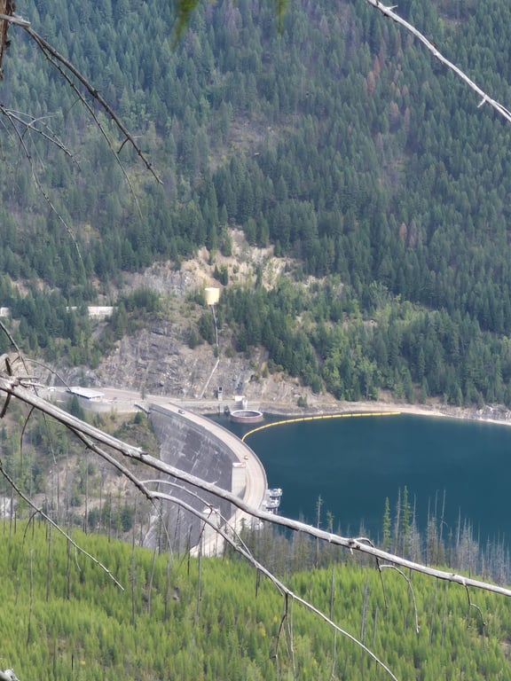 Our ride at Flathead Forrest review image 2