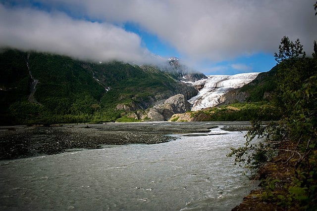 Discover the Wonders of Chugach National Forest with Alaska Shore Tours