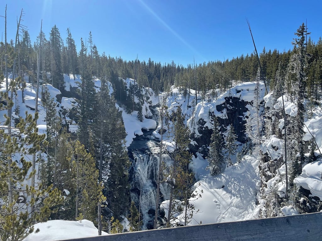 Awesome Yellowstone experience! review image 1