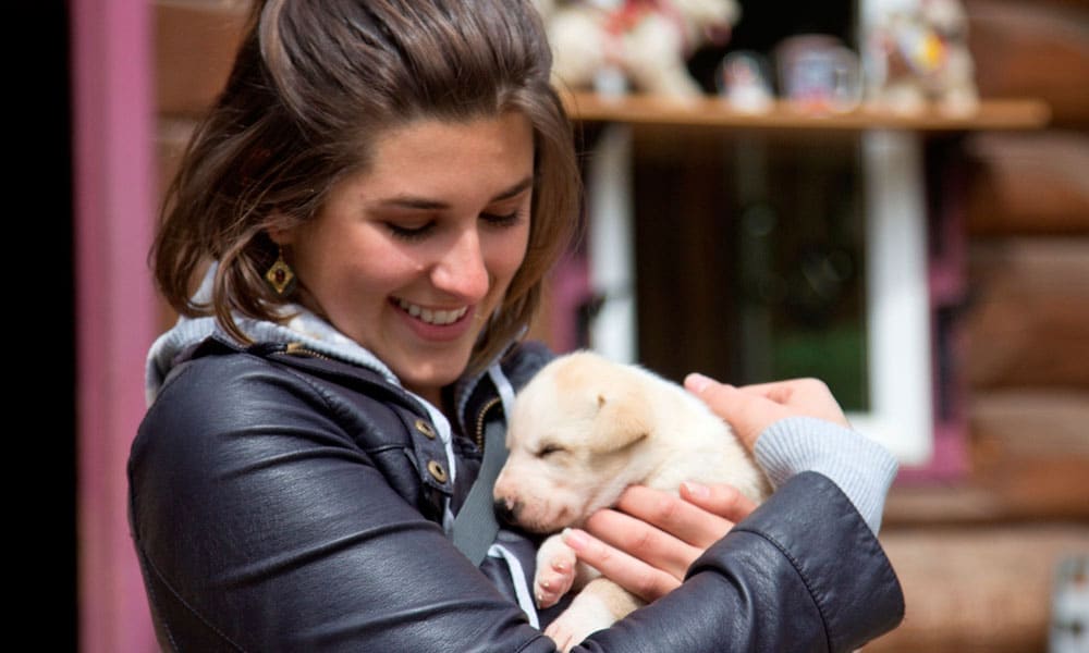 Skagway Sled Dog and Musher's Camp Tour Image 23