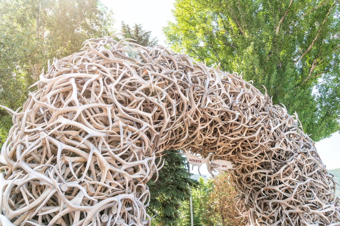 Where To Eat In Jackson Hole image
