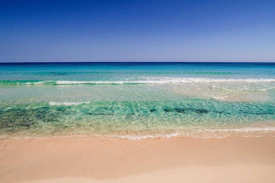 Weather in Cozumel: What to Expect in Every Season