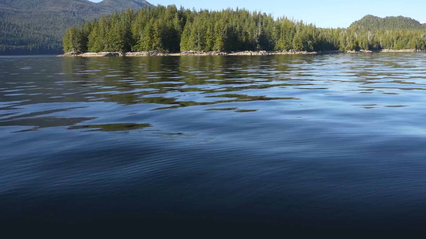 Alaska Fishing: Cook your Catch Tour Image 8