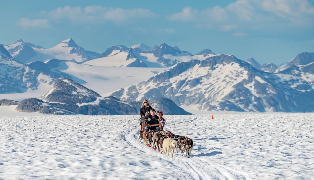 Glacier Dog Sled Adventure Tour Image 3