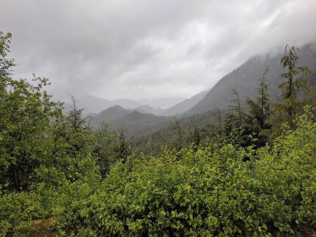 Amazing views and fun off-roading review image 0