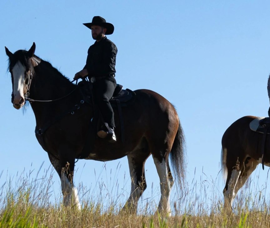 Clydesdale Horseback Riding Tour Image 2