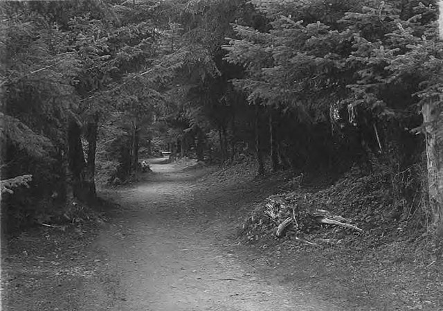 Our Local Expert's Guide to Sitka National Historical Park