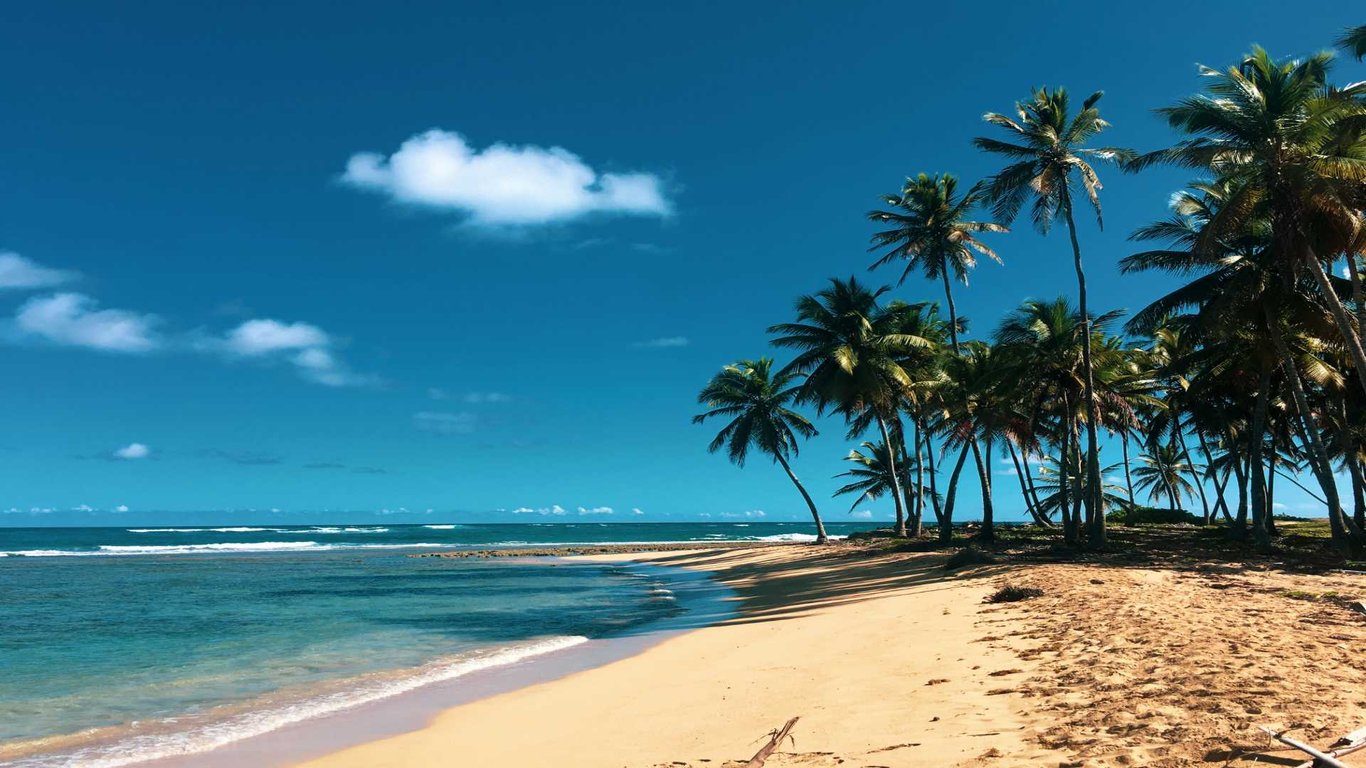 Land in Samana image
