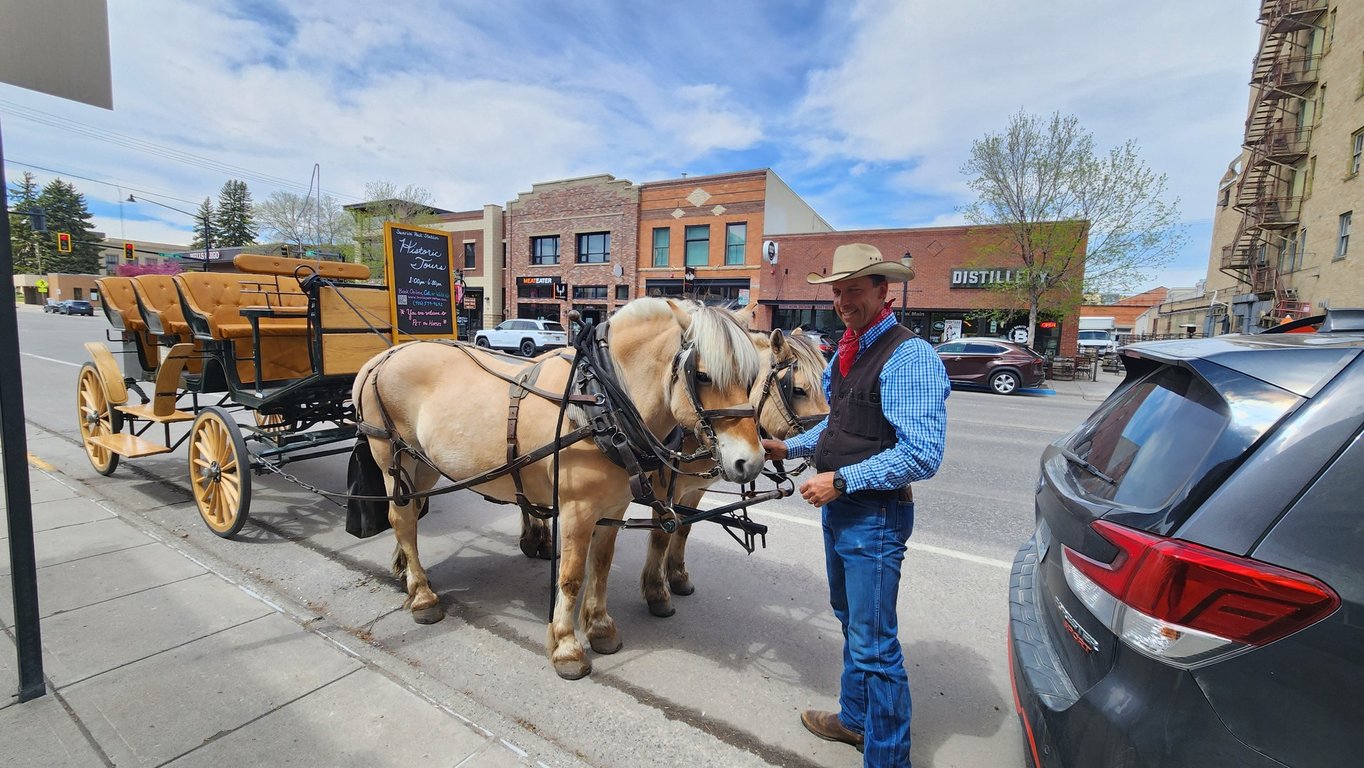 One Hour Bozeman City Carridge Tour Image 8