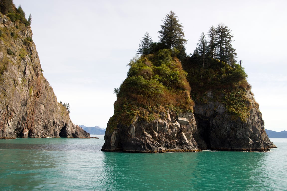 Our Local Expert's Guide to Resurrection Bay