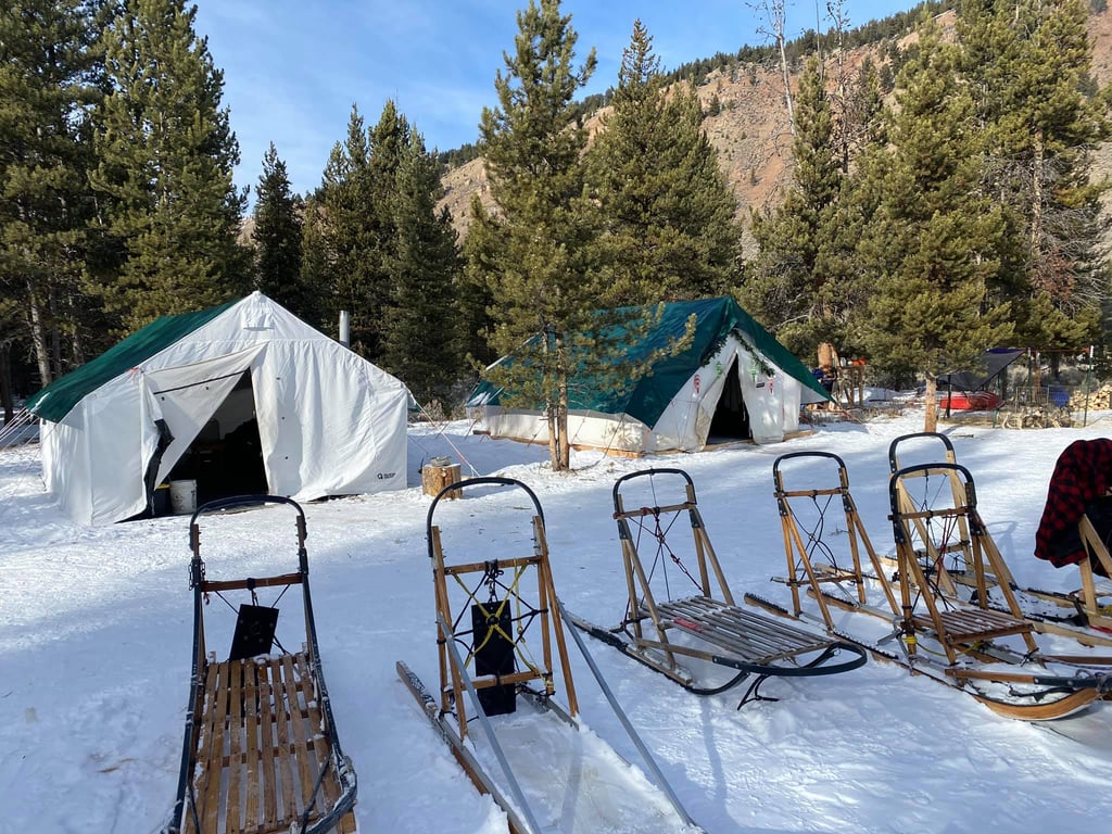 Yellowstone Dog Sled Experience Tour Image 3