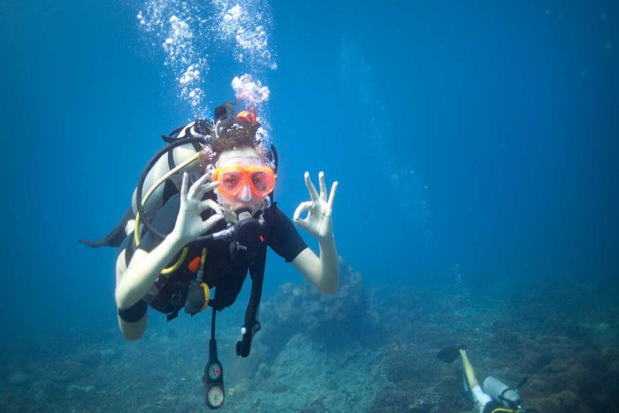 Costa Maya Transportation & Navigation Advice
