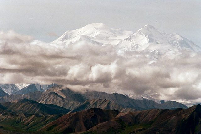 Denali: Our Local Expert’s Guide to the Area