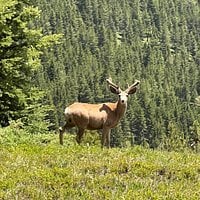 Great scenic adventure! review image 0