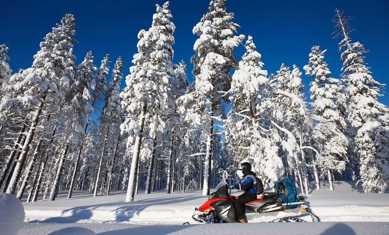 Half-Day Whitefish Snowmobile Tour Tour Image 2