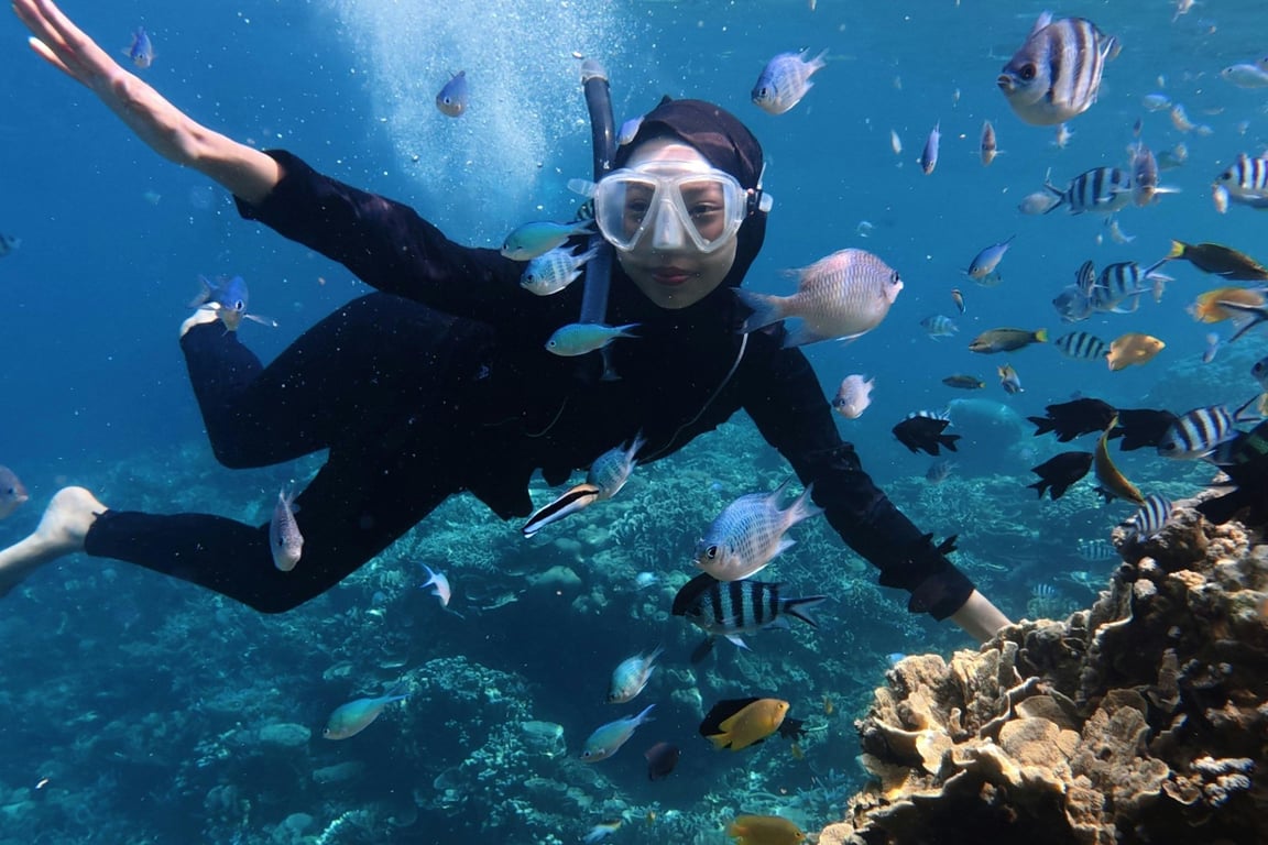 Costa Maya Snorkeling Guide: Reef, Turtles & What to Expect image